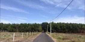 Bán đất Bình Châu, Vũng Tàu, 500m2 – 2,6tr/m2