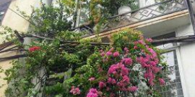 Bán nhà ngõ 26 Đỗ Quang, 72m2, 5 tầng, vỉa hè rộng, kinh doanh, 16 tỷ.