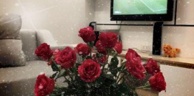 CC Bán nhà giá rẻ 45mx4T, ngõ 8-Quang Trung Hà đông HN ôtô đỗ cạnh nhà Lh: 0969438926, 3,05tỷ