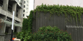 Cần bán 2 căn hộ chung cư dự án De Capella trung tâm thủ thiêm Q. 2