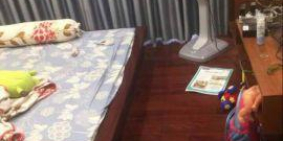 Bán nhà mặt tiền kinh doanh, hẻm xe hơi, Hoàng Văn Thụ, Tân Bình, chỉ 5.2 tỷ.