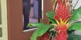 Nhà Khương trung, ra Ngã Tư Sở 50m ,46m-5,3tỷ