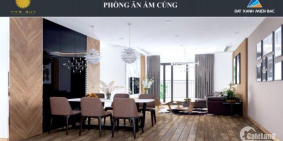 Nhà cần tiền nên cần bán gấp căn hộ 2203 chung cư The Sun Mễ Trì - Mỹ Đình, ban công hướng TB - TN. 0979220591