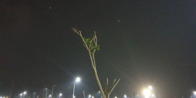 GIÁ RẺ BẤT NGỜ - KHU ĐÔ THỊ PHỐ NỐI HOUSE.