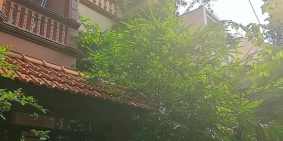 Cho thuê nhà nguyên căn giá rẻ phố Lý Tự Trọng, Hà Đông