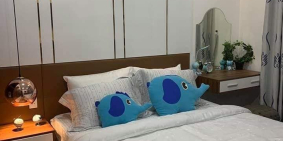 CĂN HỘ CAO CẤP THỊNH GIA TOWER 43M2 CHỈ VỚI 230TR TRẢ TRƯỚC