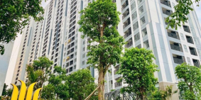 Căn hộ chỉ dành cho giới thượng lưu tại Imperia Sky Garden