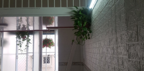 BÁN GẤP CĂN HỘ CHUNG CƯ 134 TRẦN HƯNG ĐẠO QUẬN 1