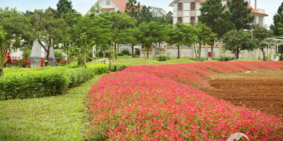 Tưng bừng khởi công, mua đất biệt thự siêu ưu đãi chỉ 3.5 tỷ