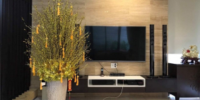 Bán biệt thự cao cấp trung tâm quận Hải Châu gần sân bay Đà Nẵng