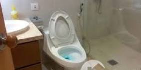 Bán gấp nhà kinh doanh, thang máy, 50m2x8T, giá 6.59 tỷ ( Gia lộc)