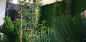 KẸT TIỀN BÁN GẤP CĂN HỘ DỊCH VỤ DOANH THU 300TR/ THÁNG HẦM 7 LẦU MẶT TIỀN NGUYỄN