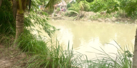 ** NHÀ MẶT TIỀN RẠCH SÚC (View sông) -  : DT: 309 m2, lộ ô tô 6 mét !!!!