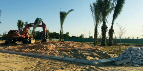 Cơ hội đầu tư trong giai đoạn nước rút, Giá bình ổn tại sao không?