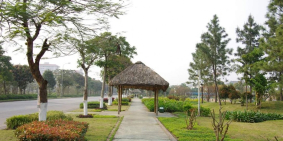 Bán căn biệt  thự nhà vườn cực đẹp tại huyện gia lâm LH 0983.213.453