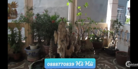 Nhà gần Phố Đại La, Hai Bà Trưng, chỉ 2899 triệu. Đã giảm 300 triệu.