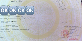 Bán nhà mặt tiền Bửu Đình nhà mới xây kiên cố, nhà cấp 4 nhưng móng 3 tầng  Đư