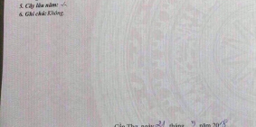 BÁN Nhà 2 MẶT TIỀN ĐƯỜNG 3/2, Ninh Kiều - DT: 11 x 25 (Thổ cư) - ĐANG CHO THUÊ