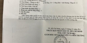 Cần bán gấp chung cư The EverRich I, Quận 11, DT 110m