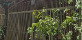 Bán Nhà Phan Văn Trị, P.2, Quận 5, 45m2, Hẻm 4m, 1 Lửng, 2 PN, 8.5 Tỷ TL.