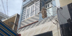 Bán nhà hẻm 4m , tỉnh lộ 10, 4 tấm , 3,5 tỷ