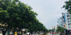 Bán nhà MẶT TIỀN KINH DOANH đường Lê Thúc Hoạch, P. Phú Thọ Hòa.4m x 17m, cấp 4