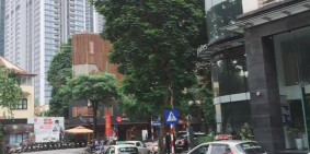 Bán nhà Thanh Xuân , building 10 tầng *120m2 , MT 6.8m , ô tô tránh