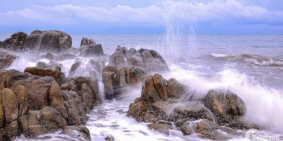 tôi cần bán gâp phước hải ocean1 mặt biển giá rẻ