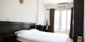 Chính chủ cho thuê căn hộ mini 40m2, full nội thất, P.Tân Định, Quận 1