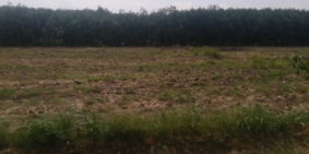 Đất hai mặt tiền đường ở huyện Bàu Bàng, Bình Dương. 1096 m2