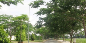 Kẹt tiền bán lô đất nhà phố KDC Phú Xuân Vạn Phát Hưng, giá 28tr/m2.