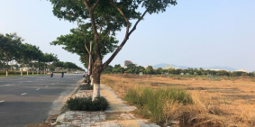 Qũy đất vàng hiếm hoi còn sót lại cuối cùng của đà nẵng