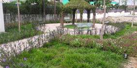 LỘC PHÁT RESIDENCE- PHỐ ÂU GIỮA LÒNG ĐÔ THỊ (ĐẤT ĐÃ CÓ SỔ)