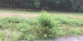 Gấp Gấp Gấp-Giá Siêu Gấp- Đầu Tư Bao lợi Nhuận