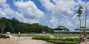 Đất Nền Đã Có Sổ - Binh Dương- Giá từ 350tr