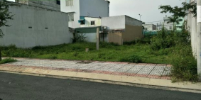 đất phước lâm cần giuộc 1100m2 giá 1ty6 sổ riêng