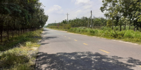 Minh Hòa Dầu Tiếng Bình Dương đầu tư sinh lời.