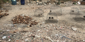 Mình cần bán nhanh lô đất đẹp 146.6m2 ngay khu phố sầm uất nhất Dĩ An,Bình Dương