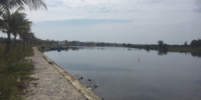 GOLDEN COCO HỘI AN – GIÁP SÔNG – GẦN BIỂN – ĐÃ CÓ SỔ ĐỎ TỪNG NỀN