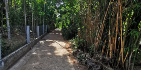 ​Đất 2 mặt tiền Thanh Hải - Nhà máy nước Quảng Tế đi lên, đường ô tô rộng rãi