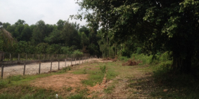 Đất biệt thự vườn từ 700m2 đường Bà Tỵ, mặt sau giáp sông thoáng mát, giá 4.5 tỷ