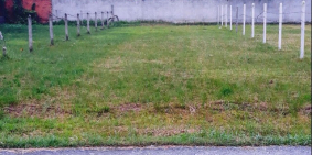 Đất ông bà cho, chia cho 2 anh em, mỗi người 1 mảnh