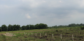 Tôi cần bán 320m2 đất MT 464 ( 1/Sông Lu 2 ), Xã Trung An – Củ Chi. Giá 2,6 tỷ.