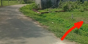 ĐẤT THỔ CƯ MẶT TIỀN ĐƯỜNG CÂY TRÔM-MỸ KHÁNH,SHR,107M2 GIÁ 9,9 TRIỆU.SHR