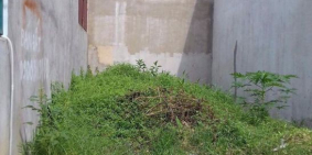 BỂ NỢ, CẦN BÁN GẤP LÔ ĐẤT đường Lý Nam Đế  750TR/ 80M2.SHR  LH 0384192181( HIỀN)