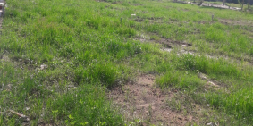 Tôi cần Bán Lô Đất GỐc Cách Mặt Tiền Huỳnh Tấn Phát 300m