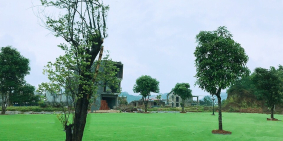 Kosy Mountain View Lào Cai khu đô thị hiện đại nhất lào cai