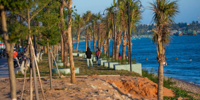 Bán 650m2, có 300m2 đất thổ cư, Huỳnh Thúc Kháng, Hàm Tiến, Mũi Né