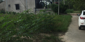 Chính chủ cần bán lô đất xã Phong An
