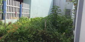 CẦN BÁN ĐẤT ĐẸP KIỆT OTO TẠI LẠI THẾ